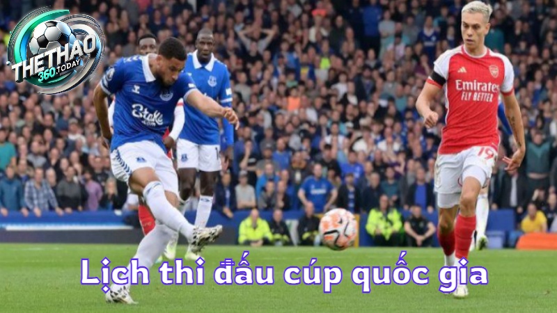 Lịch thi đấu cúp quốc gia cập nhật nhanh từ thethao360.today