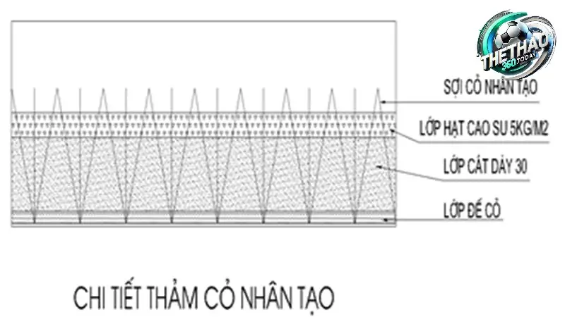 Lớp Đệm (Rootzone Layer): Nền tảng cho sự phát triển