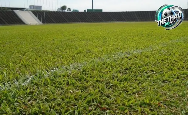 Hệ Thống Thoát Nước Ngầm (Drainage System): "Mạch máu" của sân cỏ