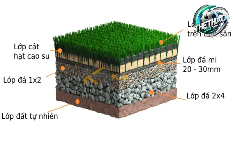 Các Lớp Cấu Tạo Cơ Bản Của Sân Cỏ Tự Nhiên