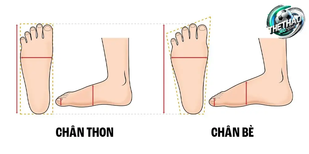 Xác Định Hình Dáng Bàn Chân