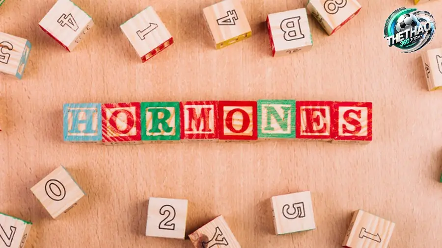 Hormone Tăng Trưởng (Growth Hormone - GH) Tái Tạo và Phục Hồi