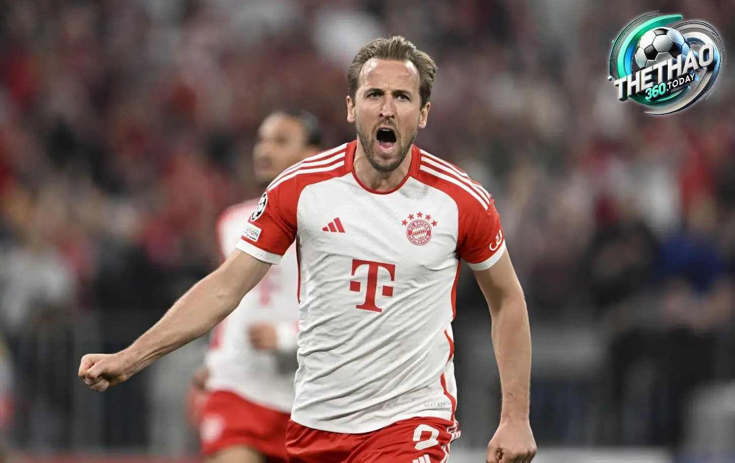 DFB-Pokal - Cúp Quốc Gia Đức DFB-Pokal - Cúp Quốc Gia Đức