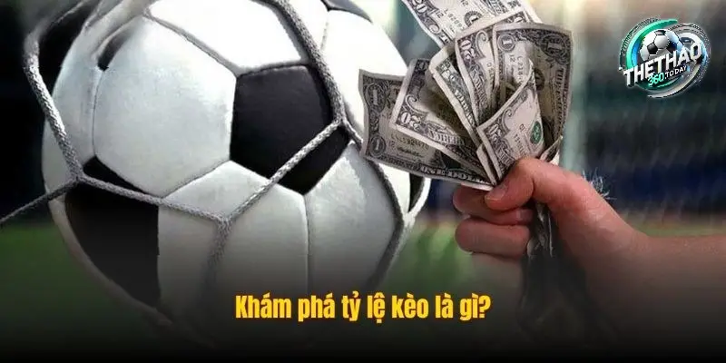 Bản Chất và Các Loại Tỷ Lệ Kèo Bản Chất và Các Loại Tỷ Lệ Kèo