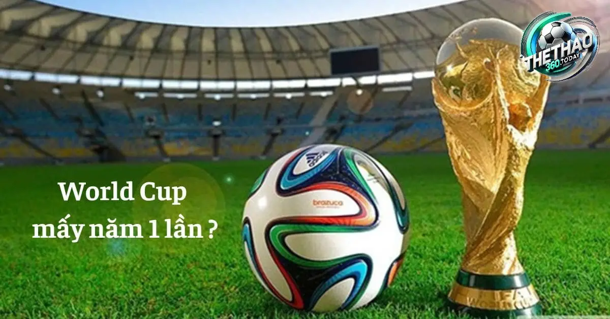 Cơ Chế Tổ Chức và Thể Thức Thi Đấu Cơ Chế Tổ Chức và Thể Thức Thi Đấu