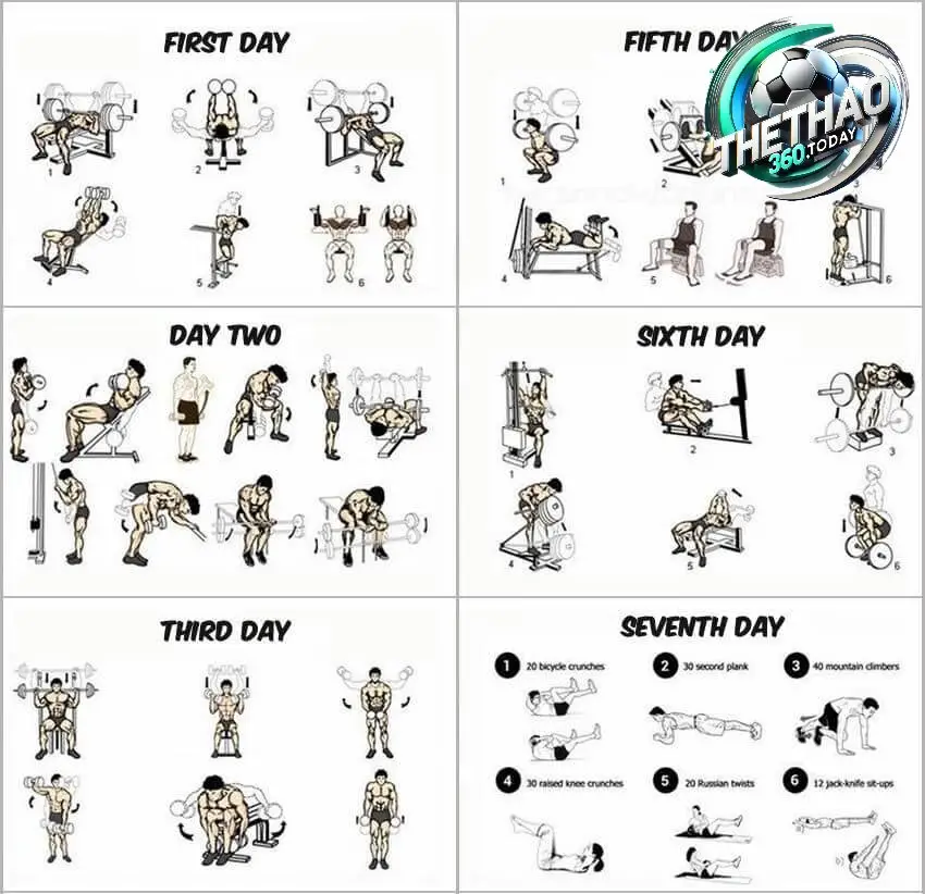 Chia Lịch Tập Theo Nhóm Cơ Chia Lịch Tập Theo Nhóm Cơ